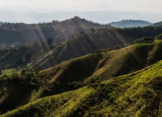 Visitar-Colombia