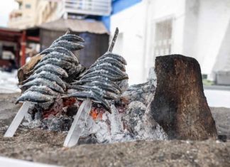 Tradicionales sardinas espetadas de Málaga