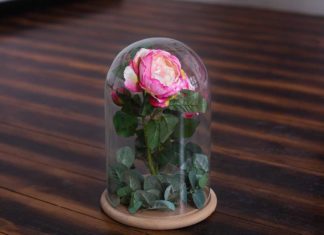 Ventajas de una rosa eterna o preservada
