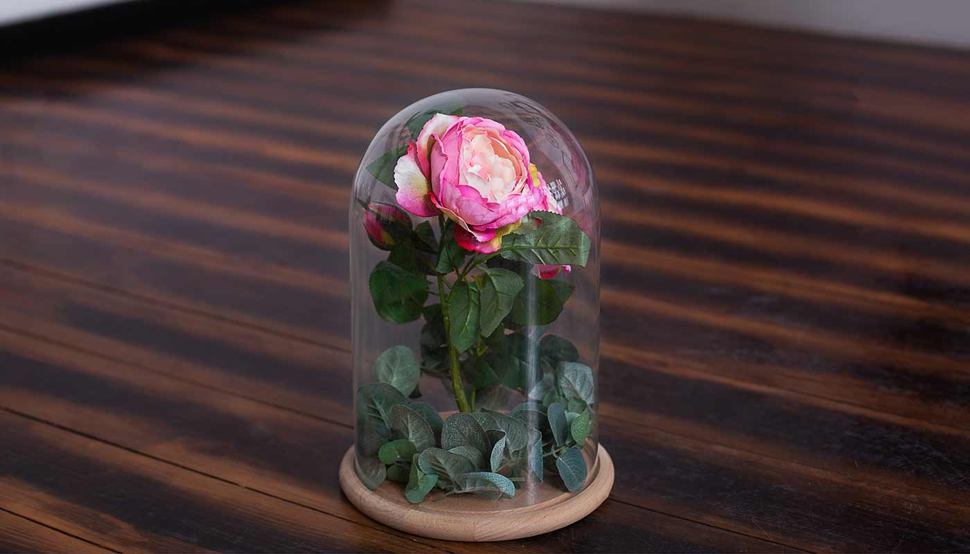 Rosa eterna o preservada, cuál es su significado y qué cuidados necesita