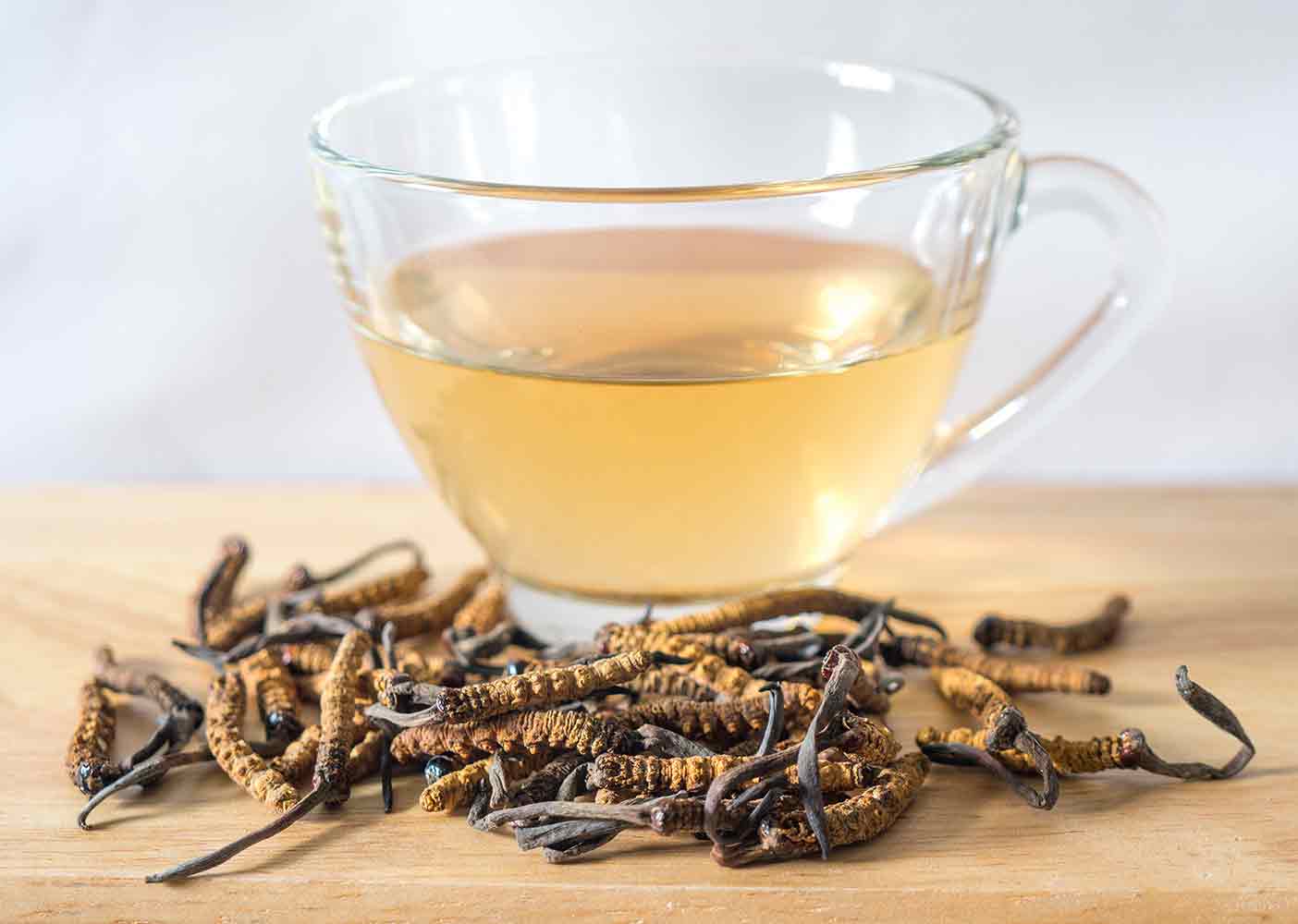 Preparación de té revitalizante con Cordyceps. 
